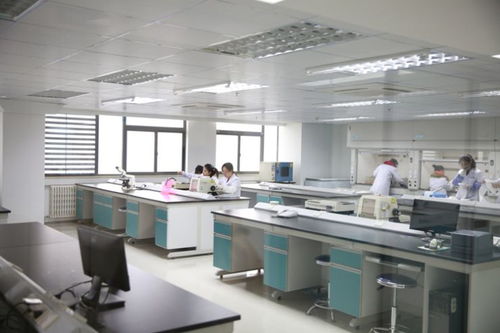 金域檢驗 以一流技術與優質服務塑造新型醫療品牌的人工智能應用軟件開發實踐